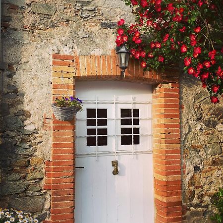 La Terrasse Villa Sorèze Kültér fotó